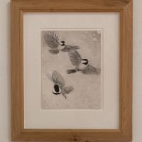 Three Chickadees drawing by Andrew Moore